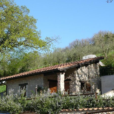 Vila Complesso Agrituristico La Ciriola Piediluco Exteriér fotografie